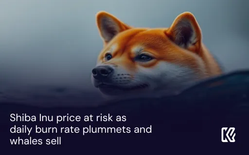 Shiba Inu 가격이 일일 소각률 급락과 고래의 매도로 인해 위험에 처해