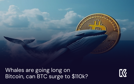Las ballenas están apostando a largo en Bitcoin, ¿puede BTC alcanzar los $110k?